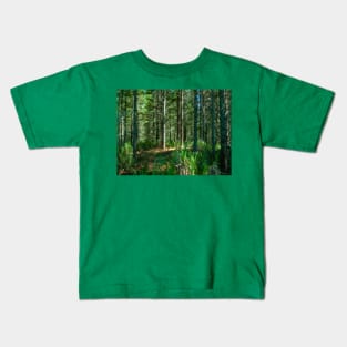 Plantation renewable pine forestry, New Zealand Kids T-Shirt